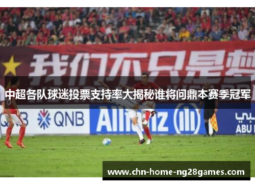 中超各队球迷投票支持率大揭秘谁将问鼎本赛季冠军