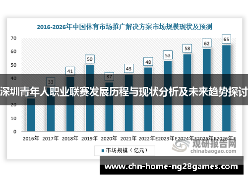 深圳青年人职业联赛发展历程与现状分析及未来趋势探讨