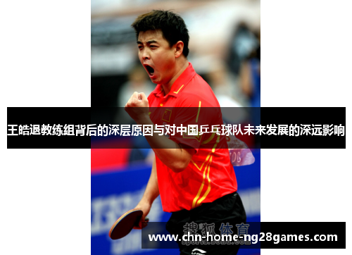 王皓退教练组背后的深层原因与对中国乒乓球队未来发展的深远影响