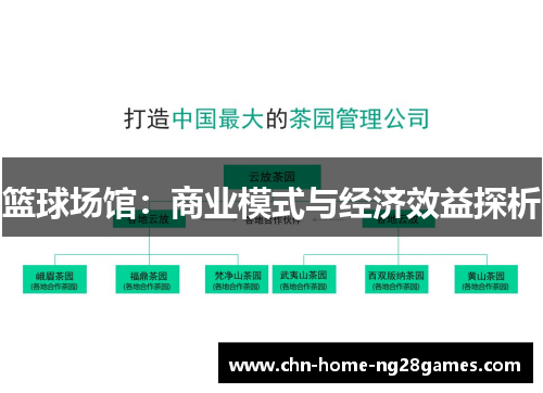 篮球场馆：商业模式与经济效益探析